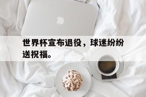 金年会共享体育平台-世界杯宣布退役，球迷纷纷送祝福。