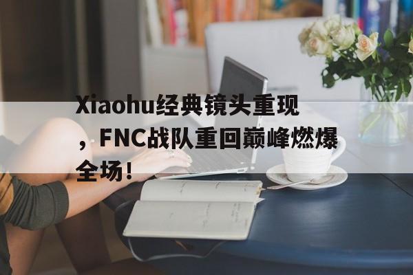 金年会共享体育平台-Xiaohu经典镜头重现，FNC战队重回巅峰燃爆全场！