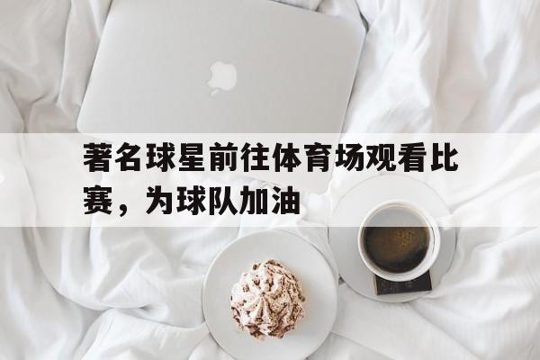 金年会官网首页-著名球星前往体育场观看比赛，为球队加油