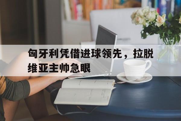 金年会共享体育平台-匈牙利凭借进球领先，拉脱维亚主帅急眼
